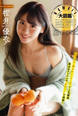 (Сакурай Юи) Так здорово видеть идеальную грудь красавицы, белую и пухлую (9P)
