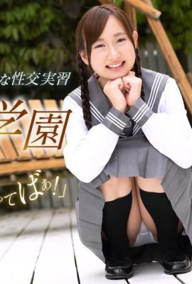 «Шатама か ん» Студенческая сестра показывает больше чувств (29p)