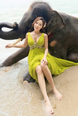 «Yen_liang» появилась с грудью, фокус аудитории был слишком заманчивым (19p)