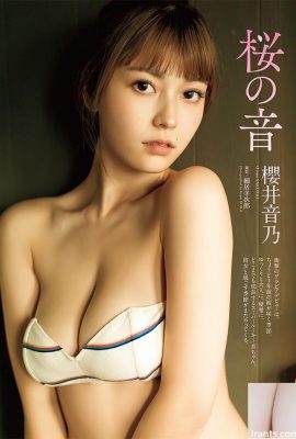 С Новым годом ~ Пожалуйста, посмотрите изящной фигуры Sakurai Girl (68p)