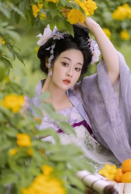 Поздний осенний цветочный Бог дал абрикосы (29p)