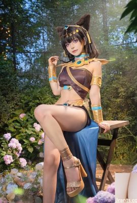 «Студенты шести двух» белого и горячего тела Юфейна без колебаний (10p)