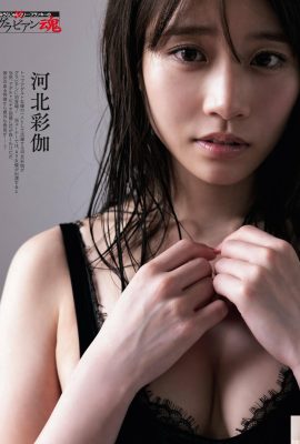 (Hebei Caijia) Глаза горячей богини очаровательны и сексуальны (10p)