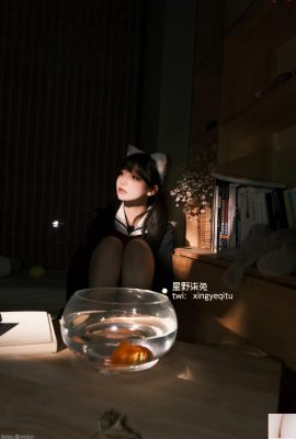 Хосино Циту – Девушка после школы (59P)