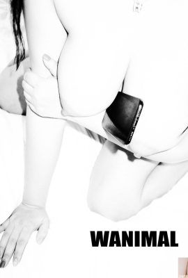 (Работа Ван Дуна) Ван Донг) Коллекция фотографий WANIMAL Tumblr (105) (50P)